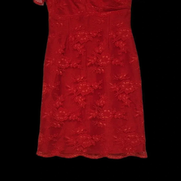 TAHARI Red Lace A-line Dress Arthur S. Levine Sz 4 Red Short Sleeve Party - Picture 12 of 16